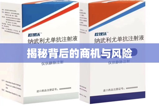 驻马店揭秘背后的商机与风险