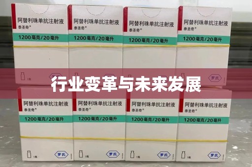 驻马店行业变革与未来发展