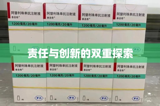 驻马店责任与创新的双重探索