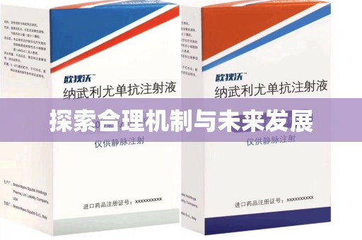 驻马店探索合理机制与未来发展