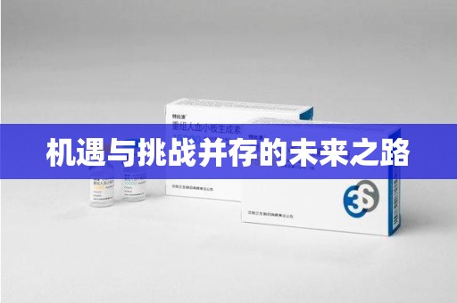 驻马店机遇与挑战并存的未来之路
