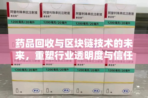 驻马店药品回收与区块链技术的未来，重塑行业透明度与信任