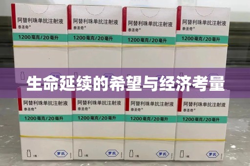驻马店生命延续的希望与经济考量